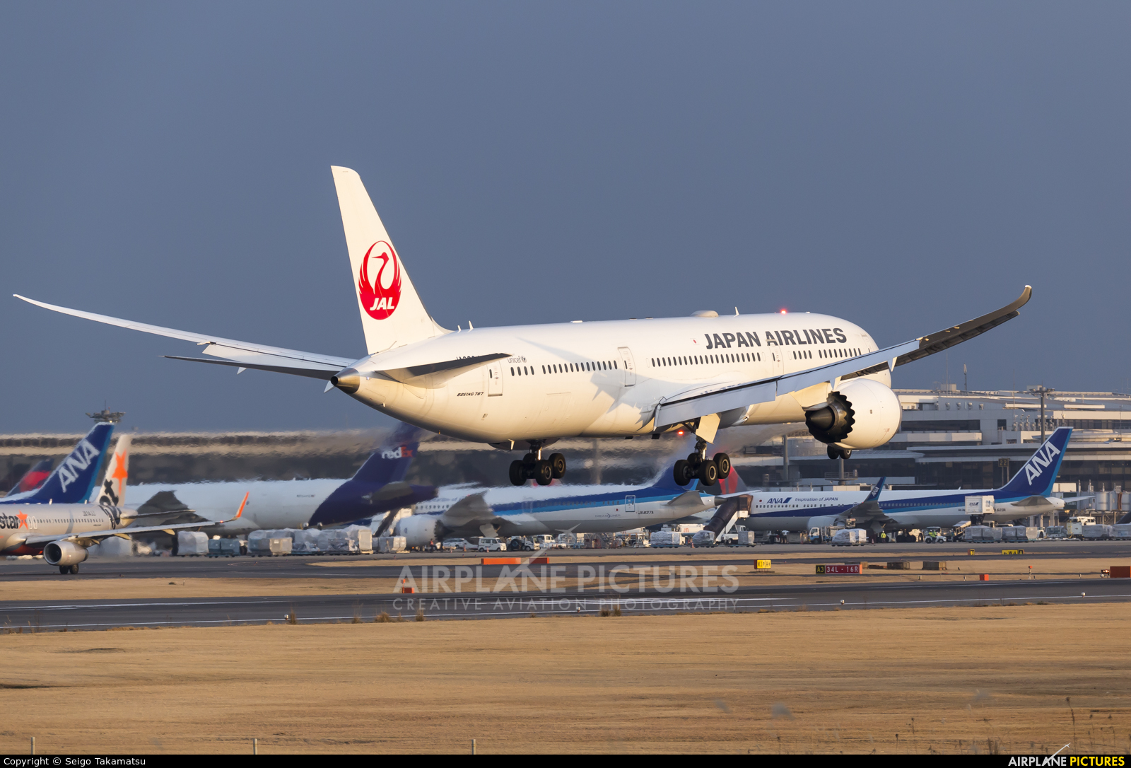 JAL - Japan Airlines JA863J aircraft at Tokyo - Narita Intl