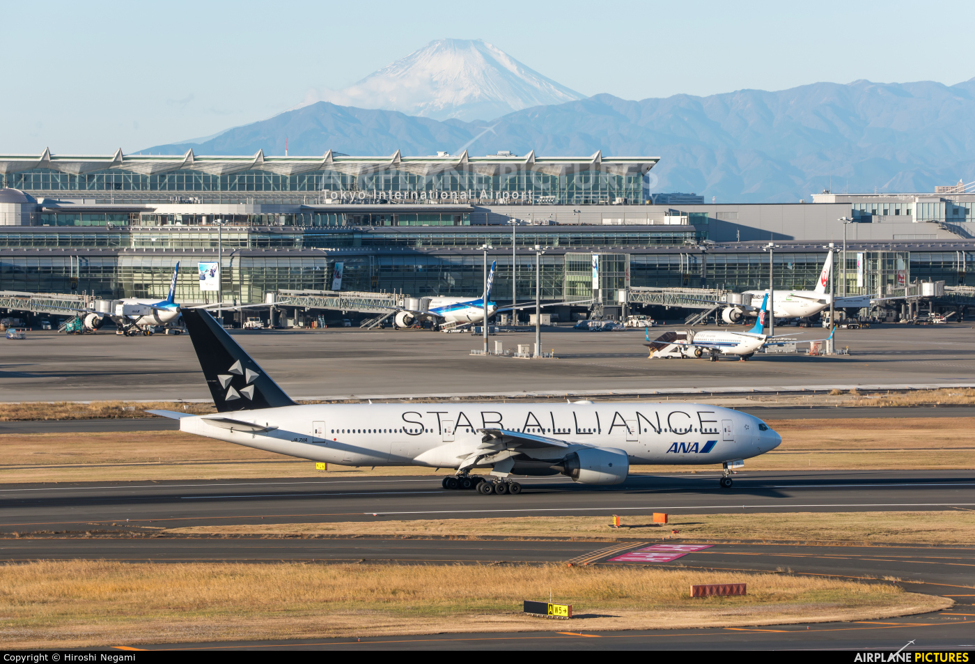 ANA - All Nippon Airways JA711A aircraft at Tokyo - Haneda Intl