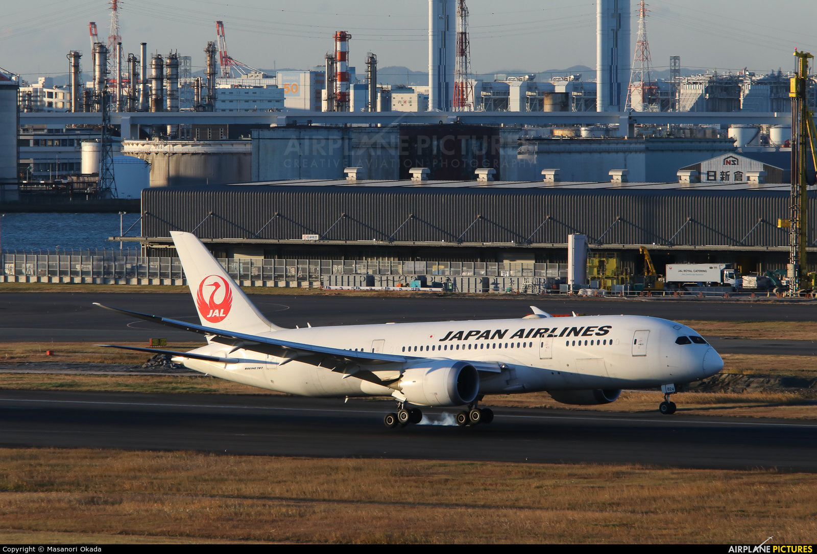 JAL - Japan Airlines JA824J aircraft at Tokyo - Haneda Intl