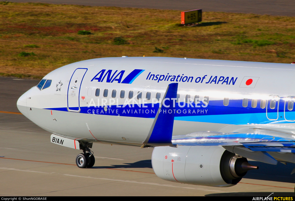 ANA - All Nippon Airways JA81AN aircraft at Chubu Centrair Intl