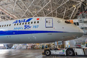 JA882A - ANA - All Nippon Airways Boeing 787-9 Dreamliner aircraft