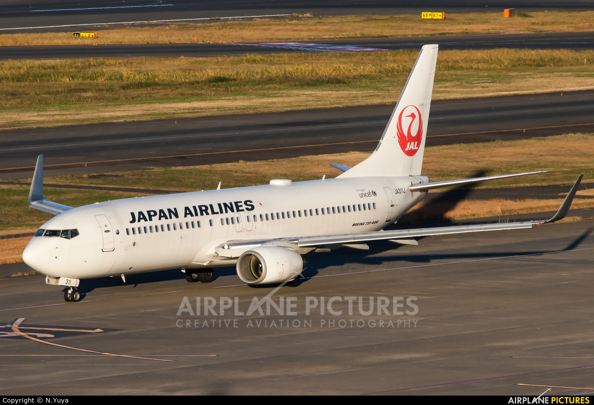 JAL - Japan Airlines JA311J aircraft at Tokyo - Haneda Intl