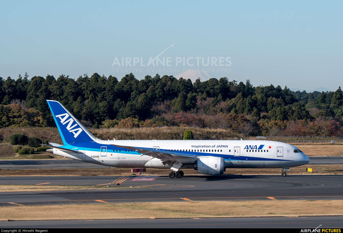 ANA - All Nippon Airways JA828A aircraft at Tokyo - Narita Intl