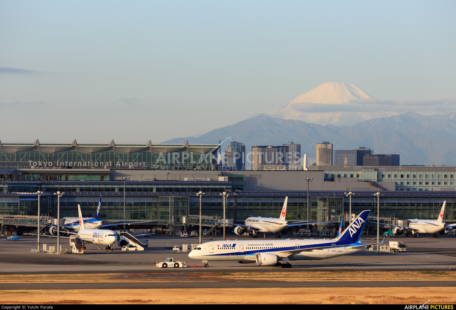 ANA - All Nippon Airways JA831A aircraft at Tokyo - Haneda Intl