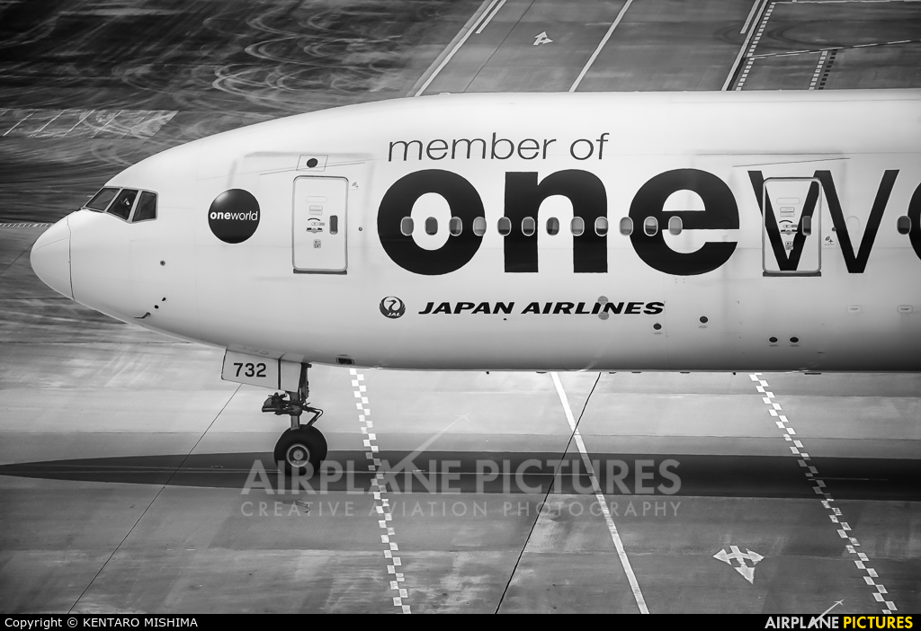 JAL - Japan Airlines JA732J aircraft at Tokyo - Haneda Intl