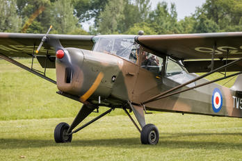 G-BNGE - Private Auster AOP6