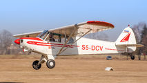 S5-DCV - Aeroklub Murska Sobota Piper PA-18 Super Cub aircraft
