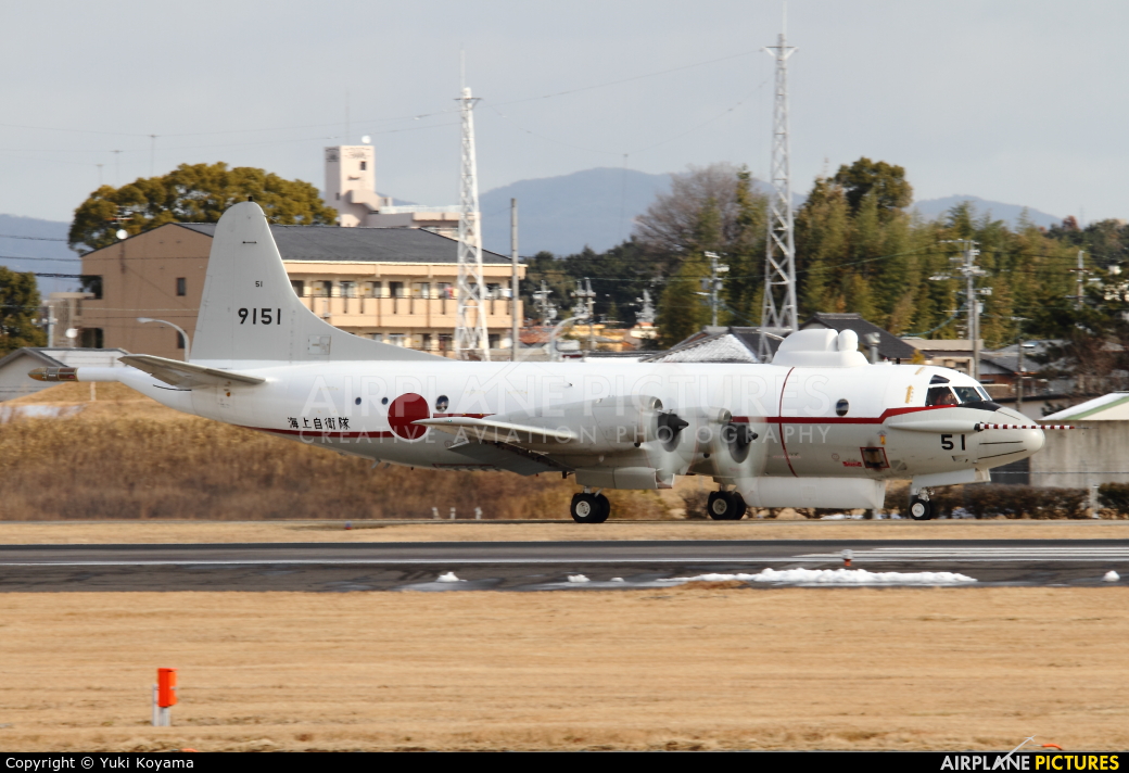 Japan - Maritime Self-Defense Force 9151 aircraft at Nagoya - Komaki AB