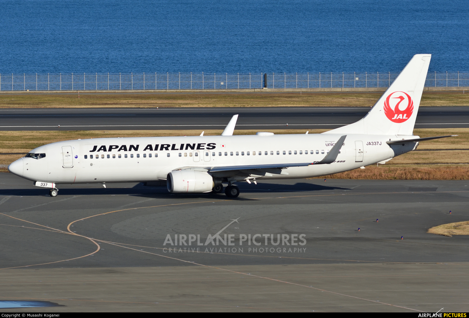 JAL - Japan Airlines JA337J aircraft at Tokyo - Haneda Intl