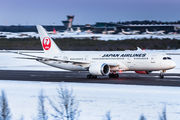 JAL - Japan Airlines JA843J image