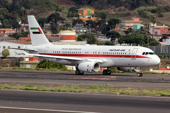 A6-DLM - United Arab Emirates - Government Airbus A320