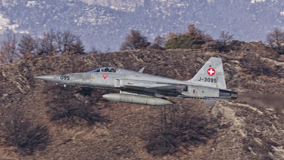 J-3095 - Switzerland - Air Force Northrop F-5E Tiger II