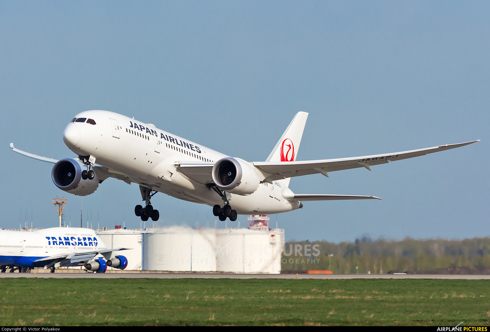 JAL - Japan Airlines JA842J aircraft at Moscow - Domodedovo