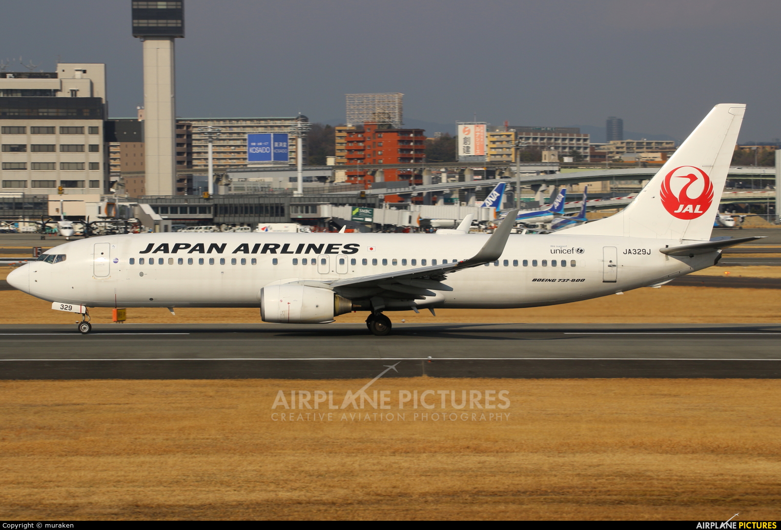JAL - Japan Airlines JA329J aircraft at Osaka - Itami Intl