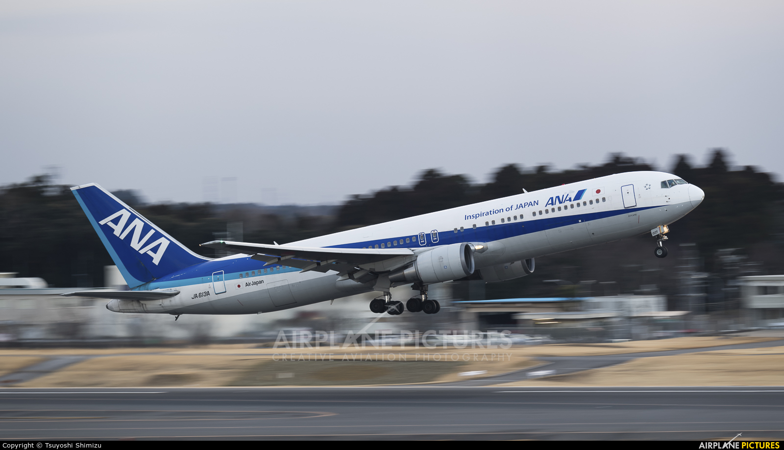 ANA - All Nippon Airways JA613A aircraft at Tokyo - Narita Intl