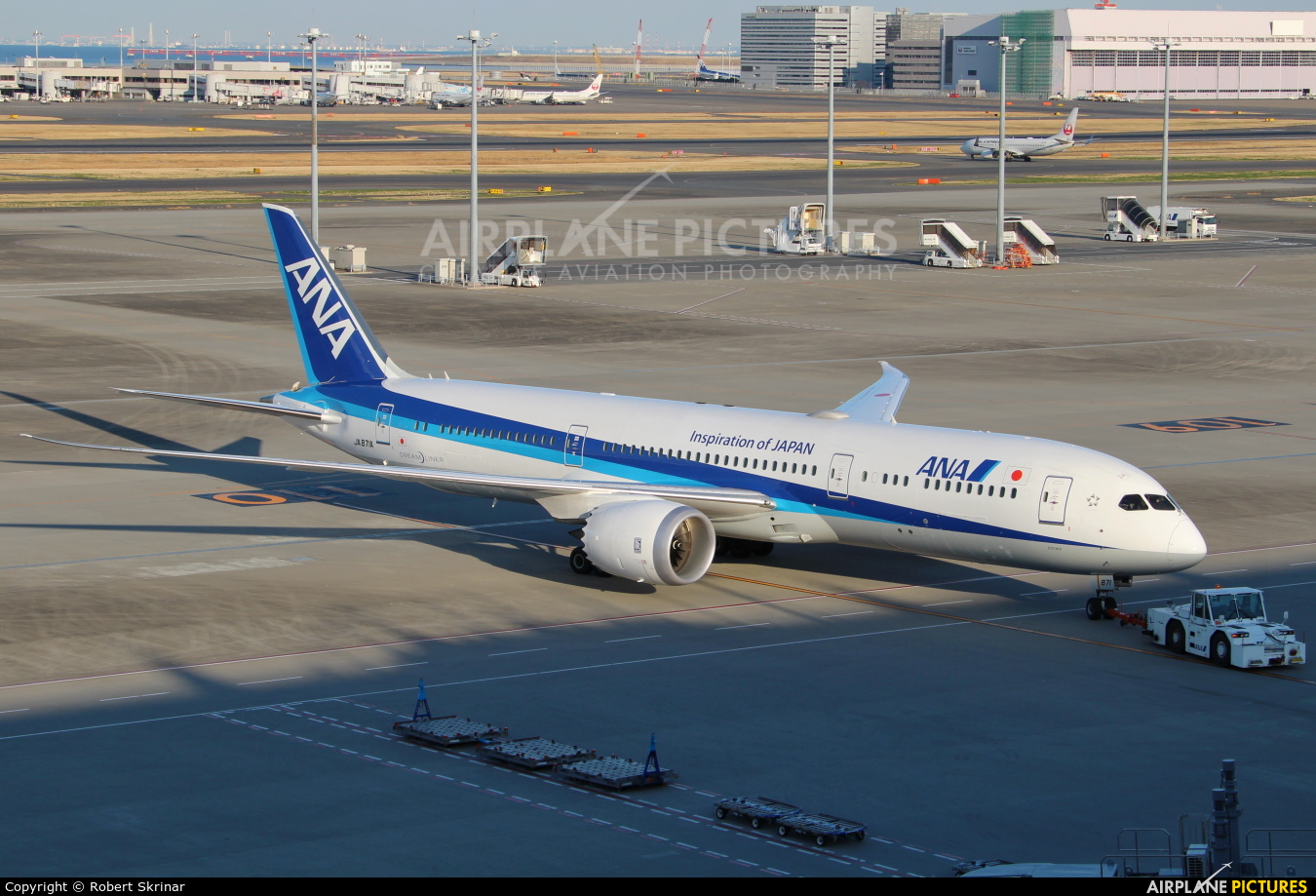 ANA - All Nippon Airways JA871A aircraft at Tokyo - Haneda Intl