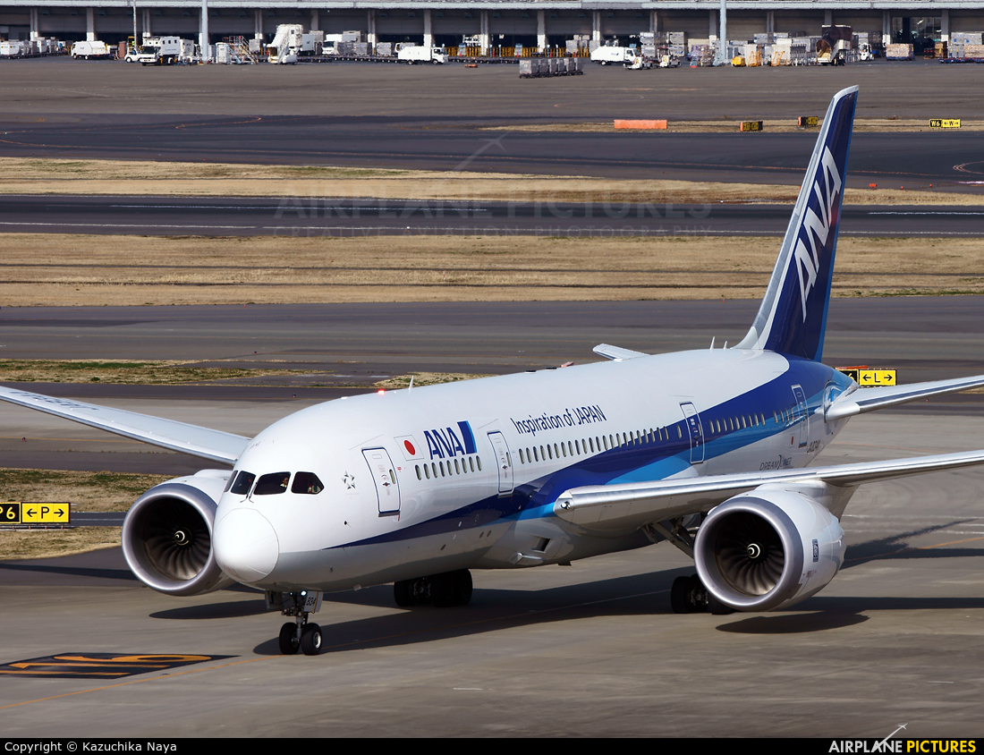 ANA - All Nippon Airways JA834A aircraft at Tokyo - Haneda Intl