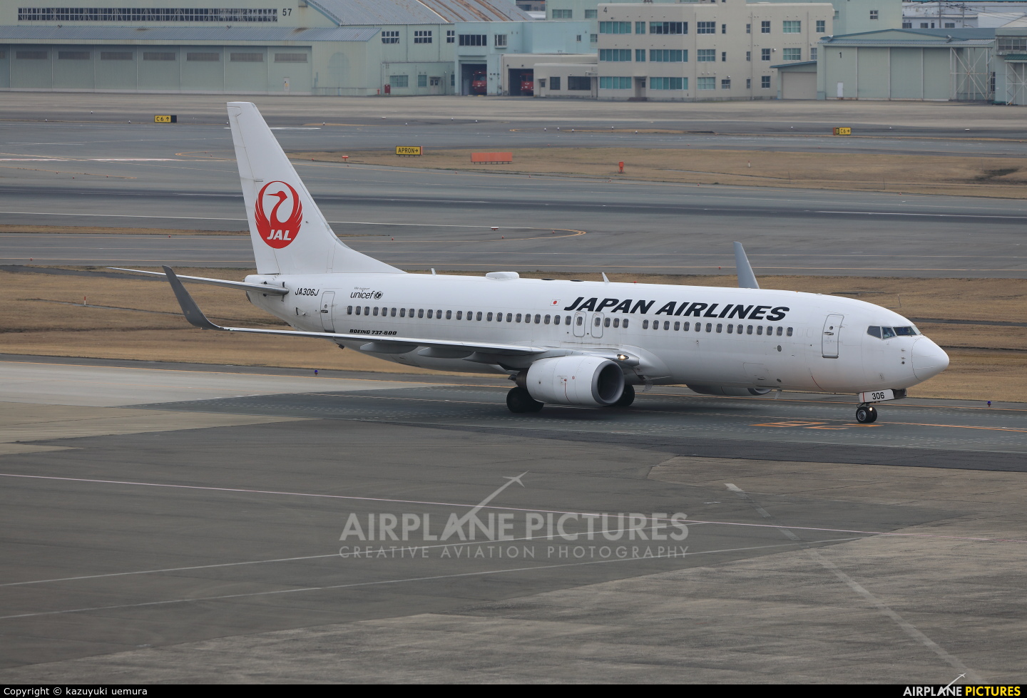 JAL - Japan Airlines JA306J aircraft at Fukuoka