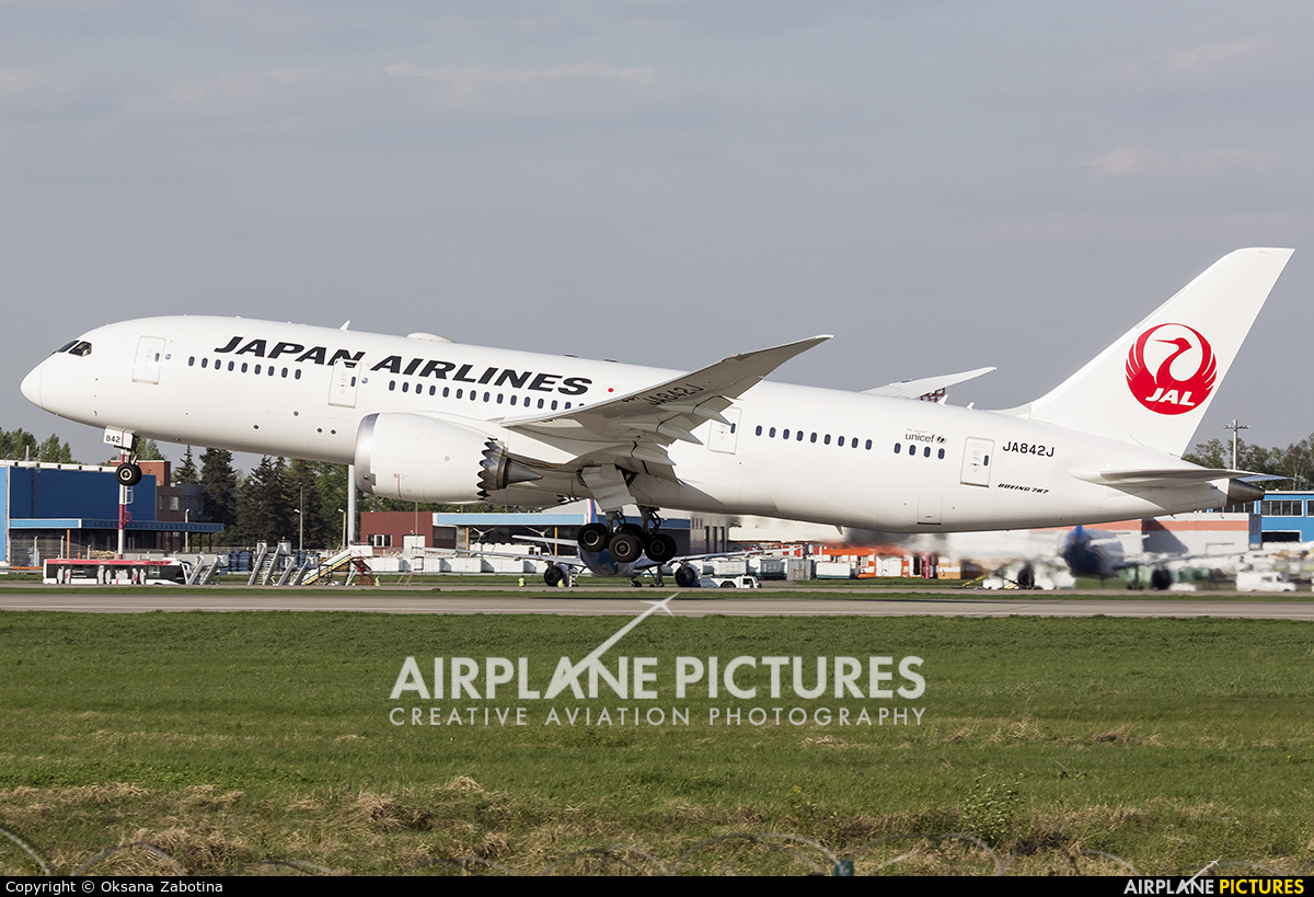 JAL - Japan Airlines JA842J aircraft at Moscow - Domodedovo