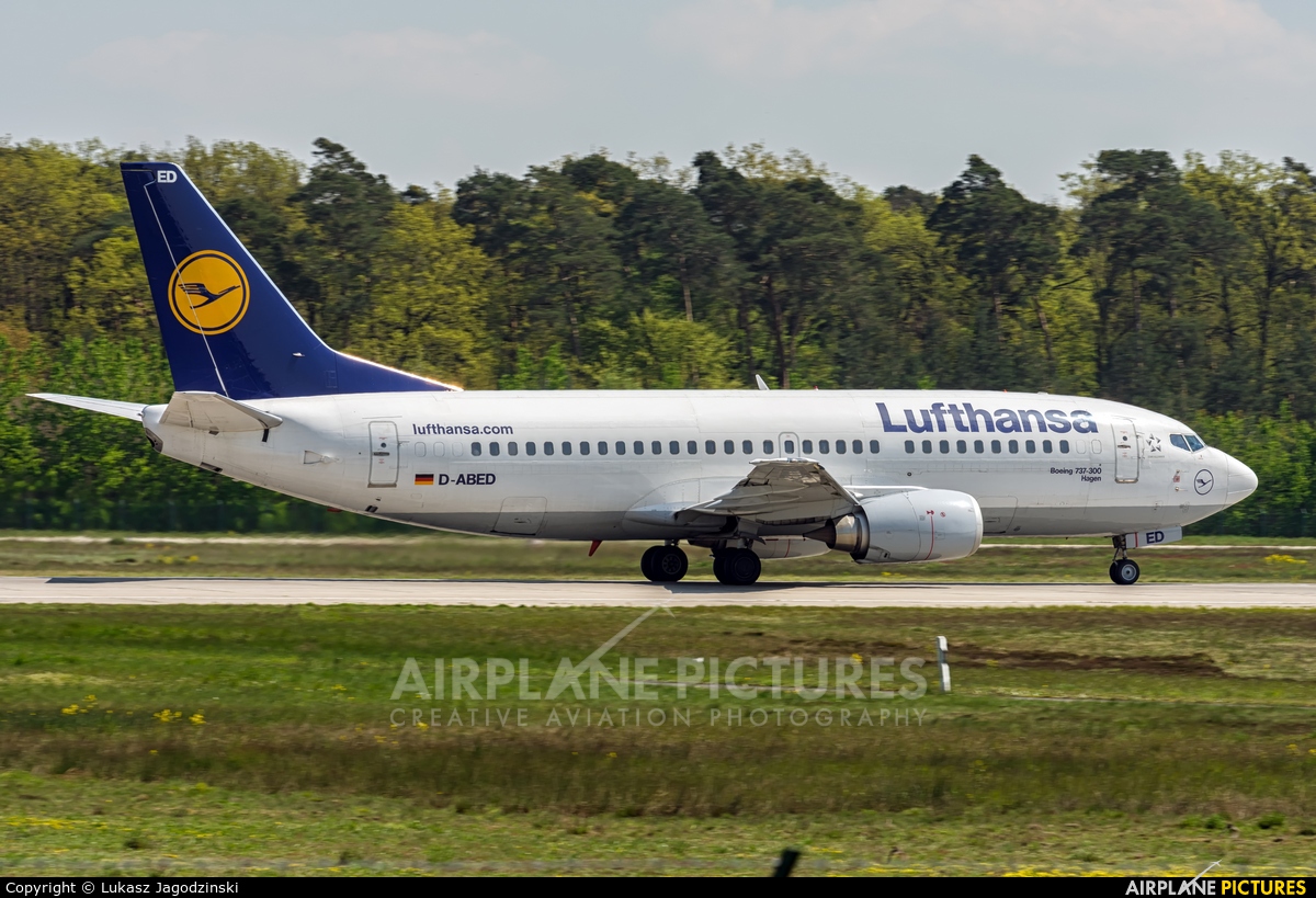 Lufthansa D-ABED aircraft at Frankfurt