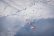 - - Switzerland - Air Force:  Patrouille de Suisse Northrop F-5E Tiger II aircraft