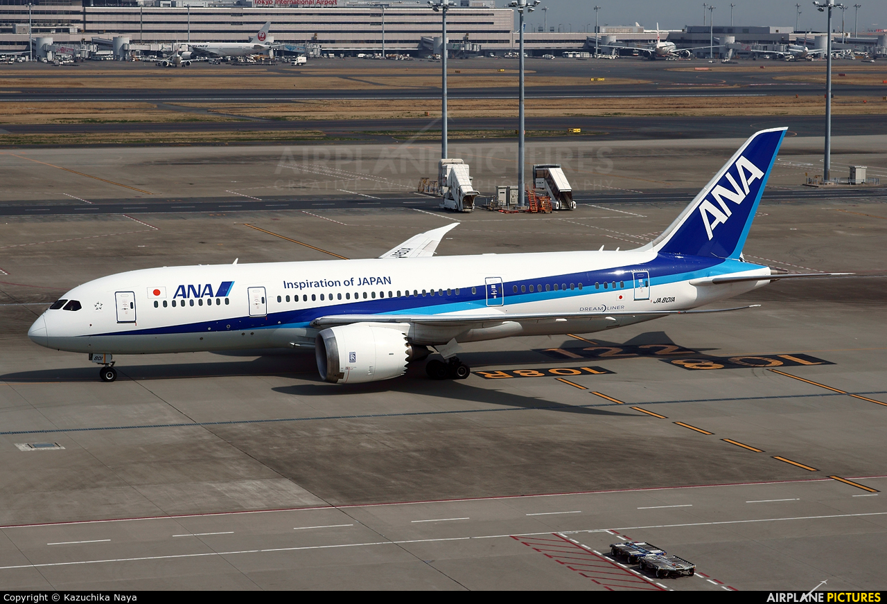 ANA - All Nippon Airways JA801A aircraft at Tokyo - Haneda Intl