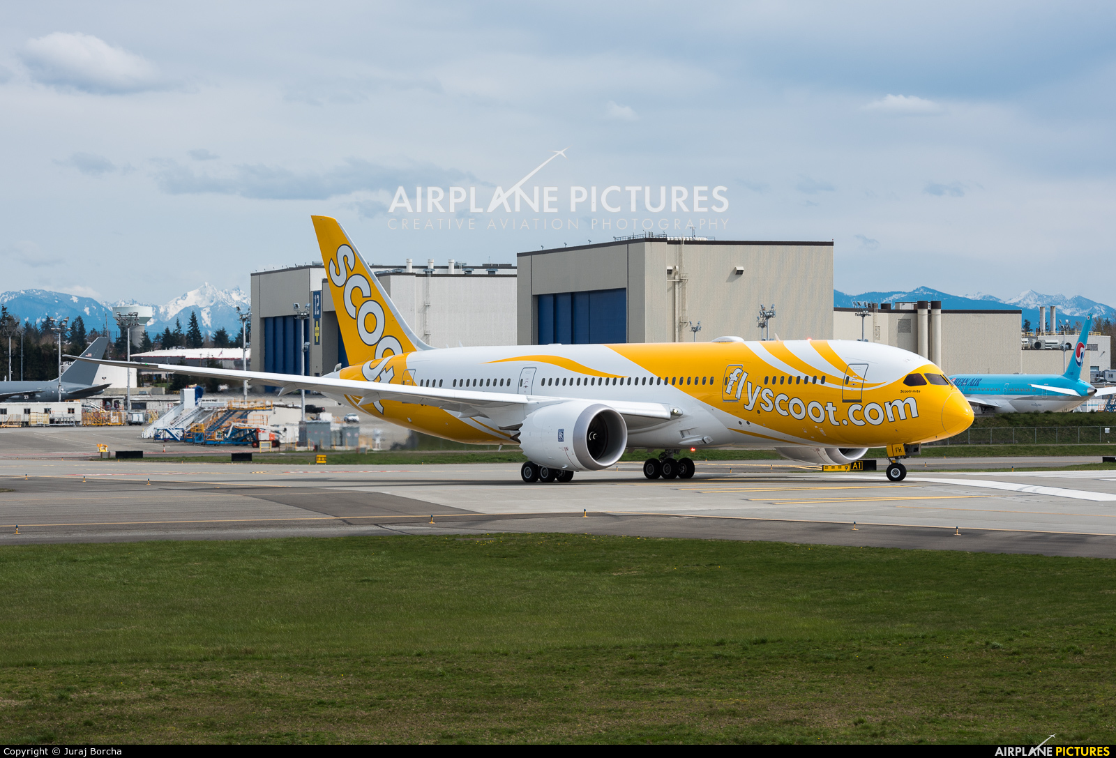 Scoot 9V-OFH aircraft at Everett - Snohomish County / Paine Field