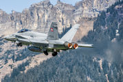 J-5020 - Switzerland - Air Force McDonnell Douglas F/A-18C Hornet aircraft