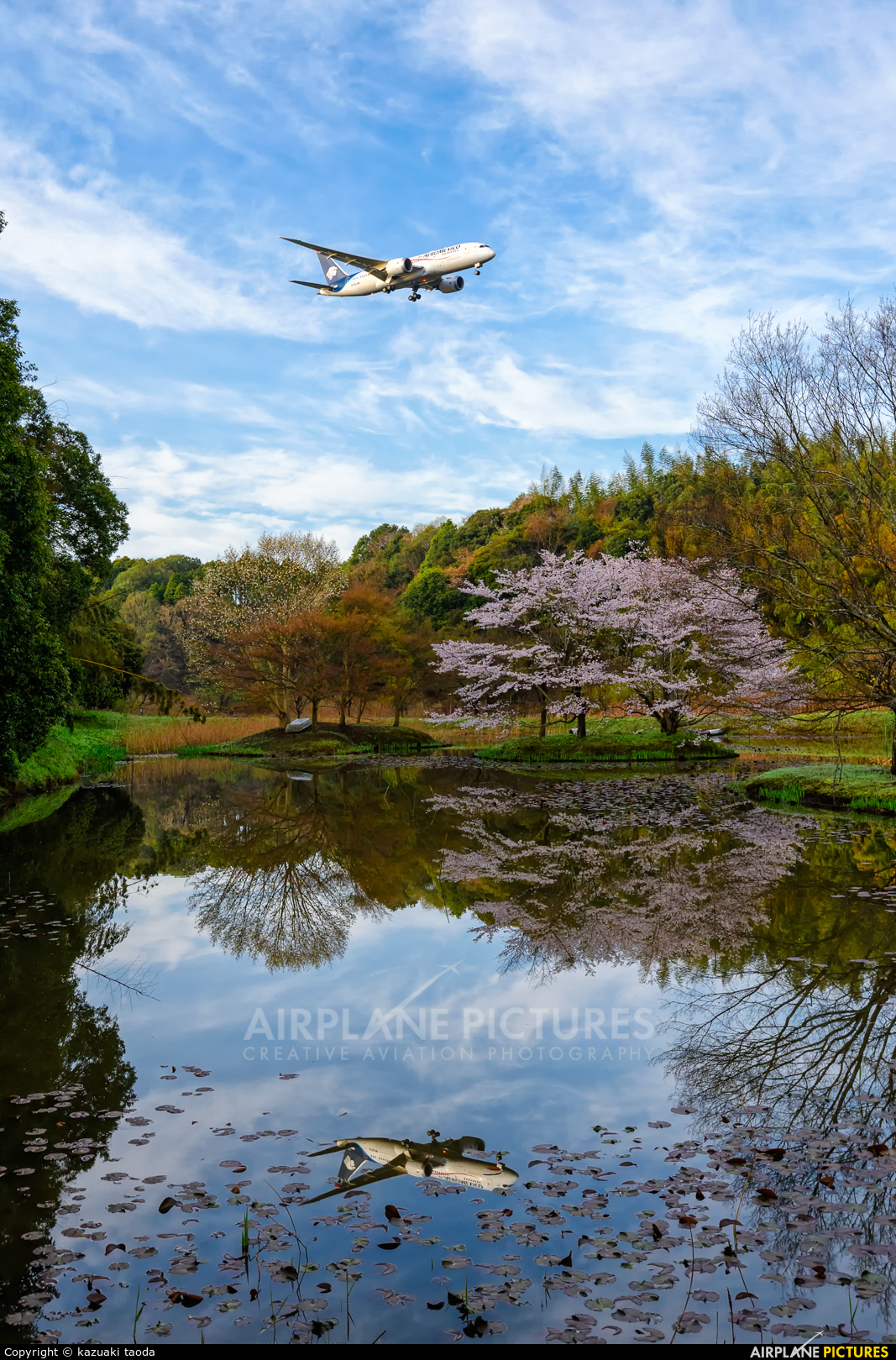 Aeromexico N782AM aircraft at Tokyo - Narita Intl