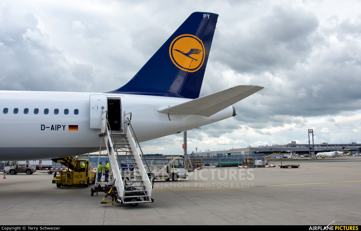 Lufthansa D-AIPY aircraft at Frankfurt