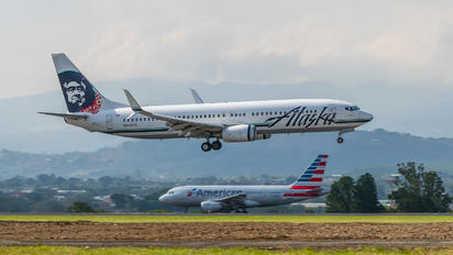 N519AS - Alaska Airlines Boeing 737-800