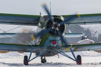 - - DOSAAF / ROSTO Antonov An-2