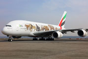 Emirates Airlines A6-EOM image