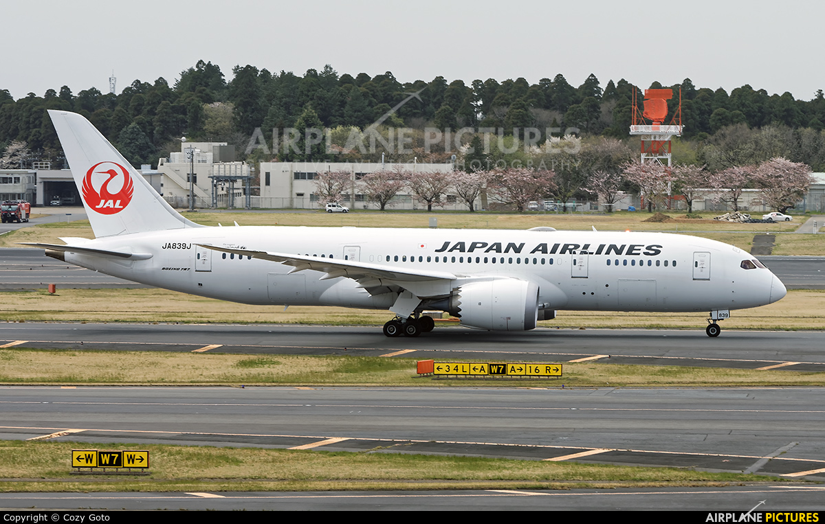 JAL - Japan Airlines JA839J aircraft at Tokyo - Narita Intl