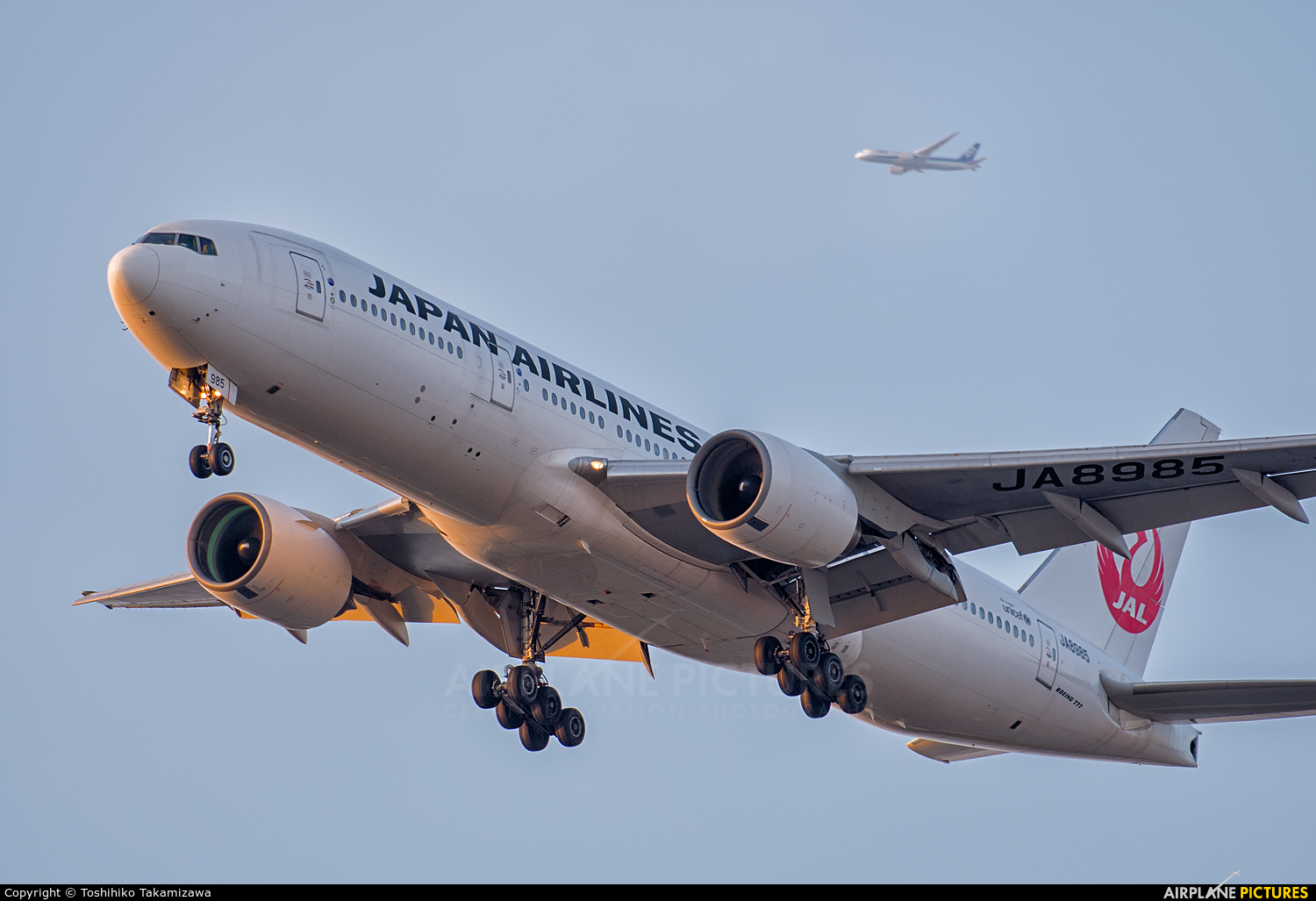 JAL - Japan Airlines JA8985 aircraft at Tokyo - Haneda Intl