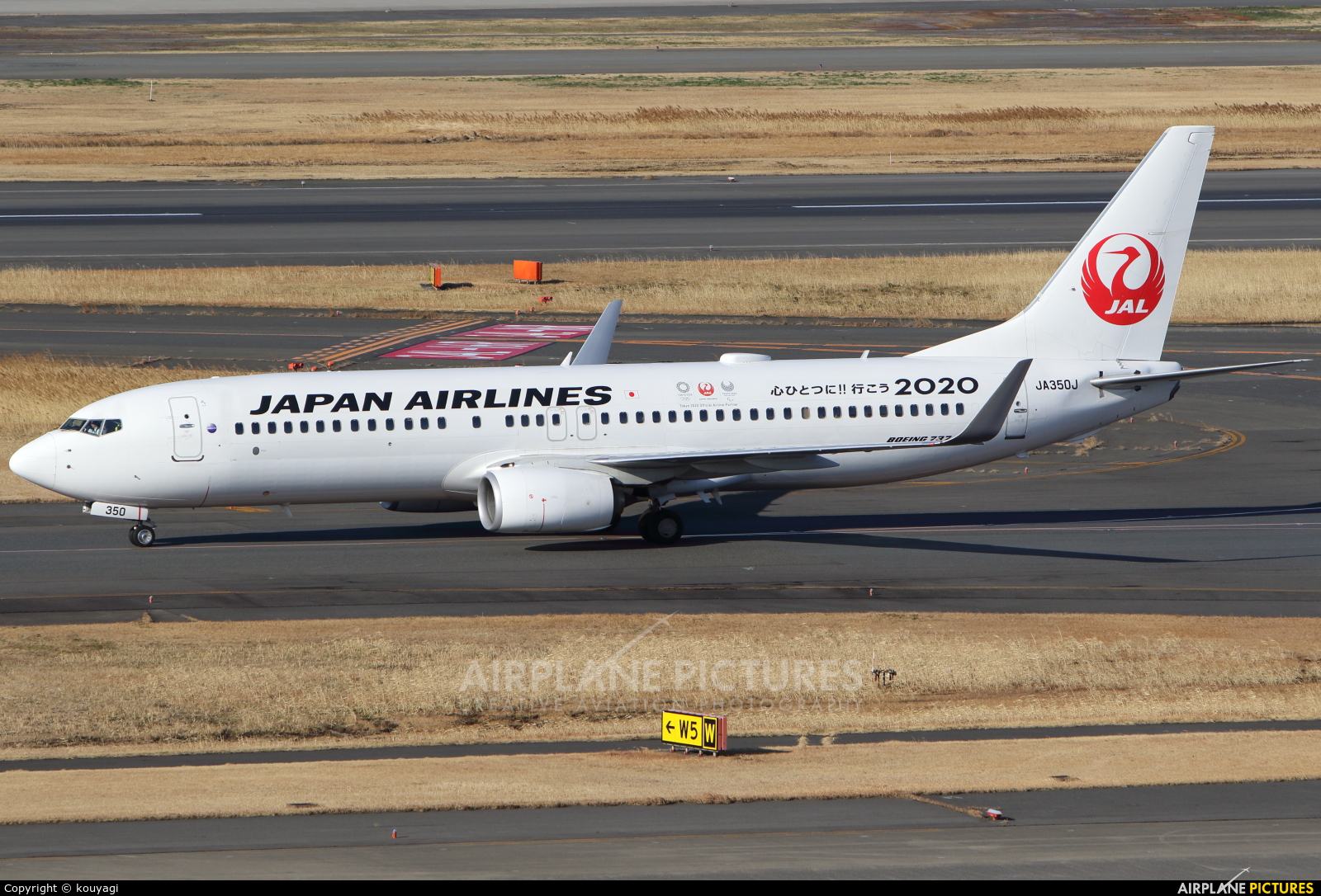 JAL - Japan Airlines JA350J aircraft at Tokyo - Haneda Intl