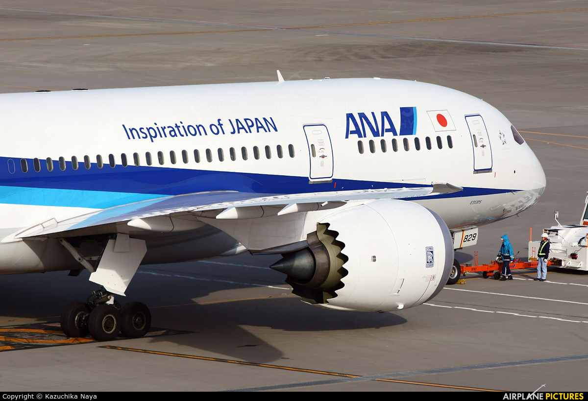 ANA - All Nippon Airways JA829A aircraft at Tokyo - Haneda Intl