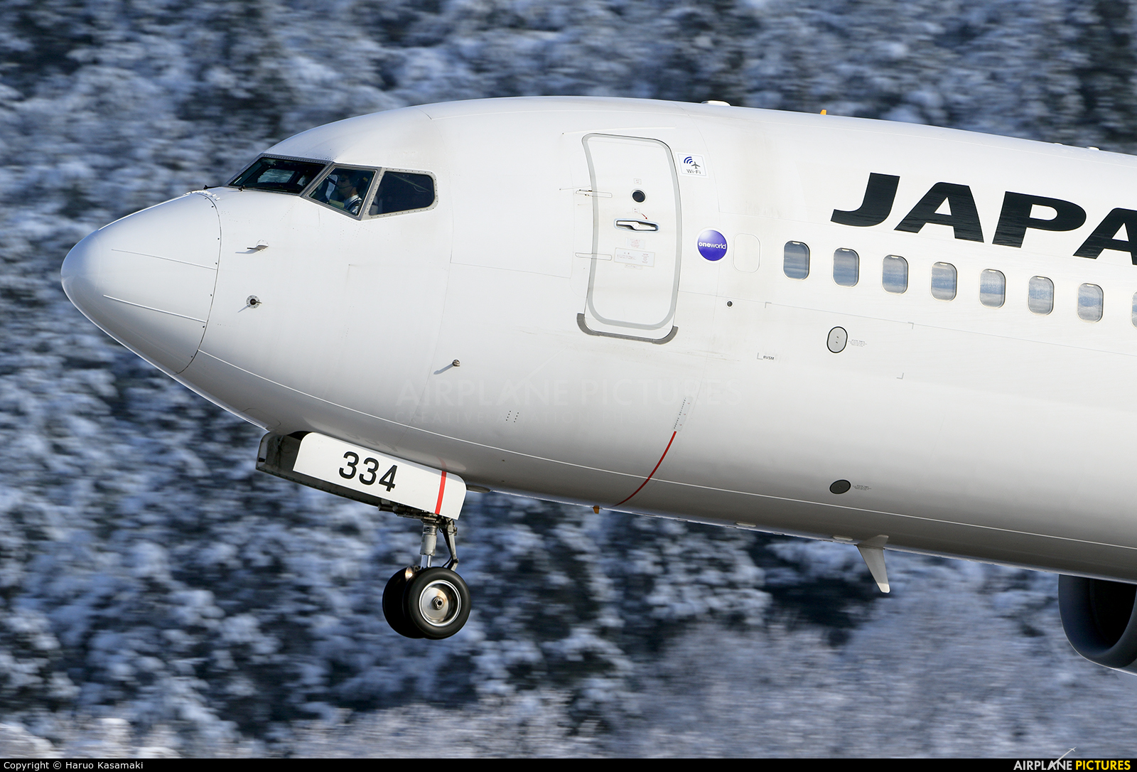 JAL - Japan Airlines JA334J aircraft at Akita