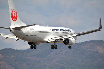 JA311J - JAL - Japan Airlines Boeing 737-800
