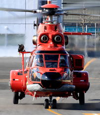 JA119B - Japan - Fire and Disaster Management Agency Eurocopter AS332 Super Puma