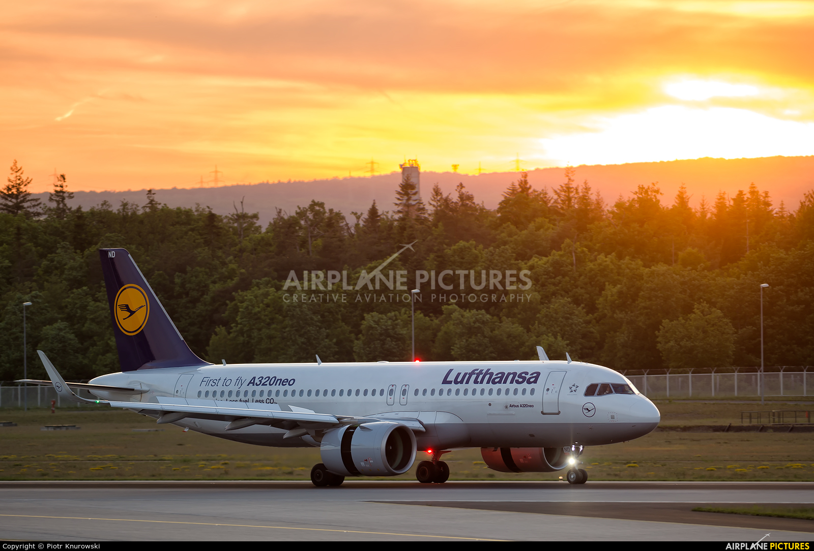 Lufthansa D-AIND aircraft at Frankfurt