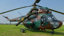 6005 - Poland - Army Mil Mi-2 aircraft