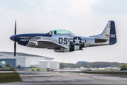 NL351DT - Private North American TF-51D Mustang aircraft