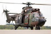 S-459 - Netherlands - Air Force Aerospatiale AS532 Cougar aircraft