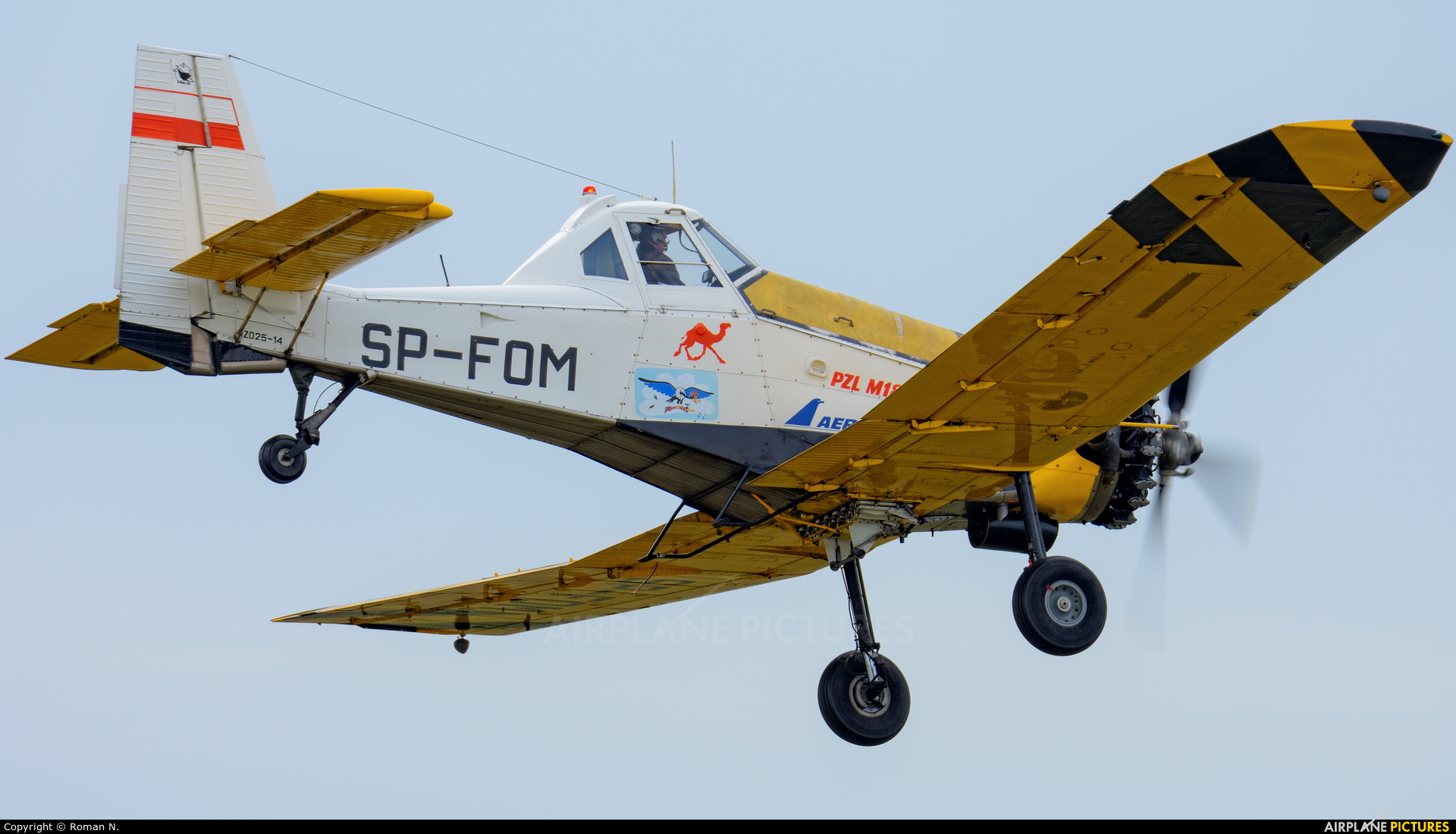 Private SP-FOM aircraft at Piła