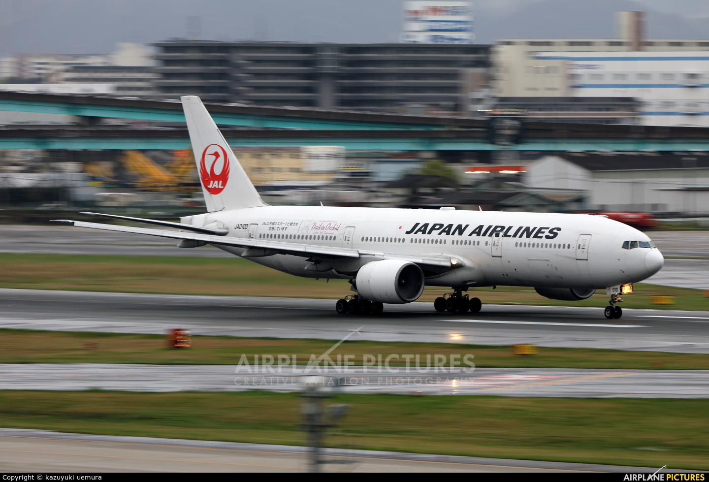JAL - Japan Airlines JA010D aircraft at Fukuoka
