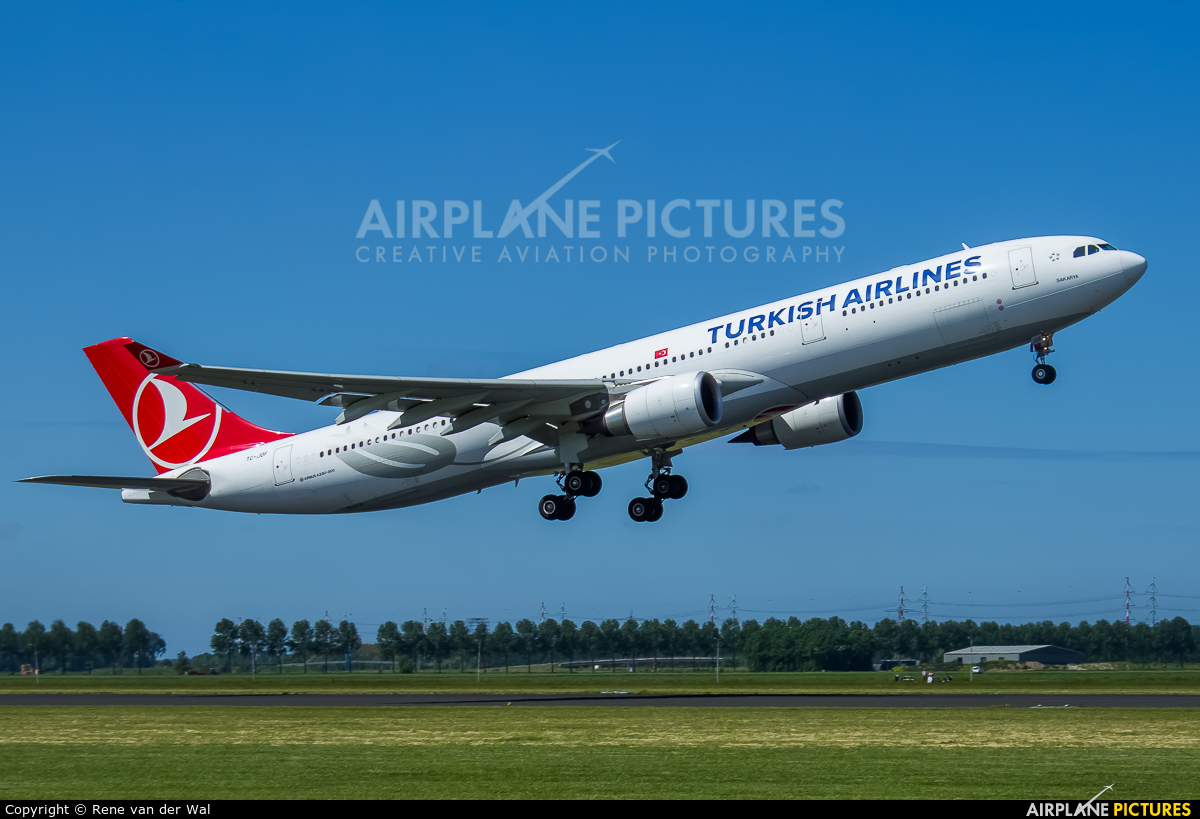 Tc Jof Turkish Airlines Airbus A330 300 At Amsterdam Schiphol