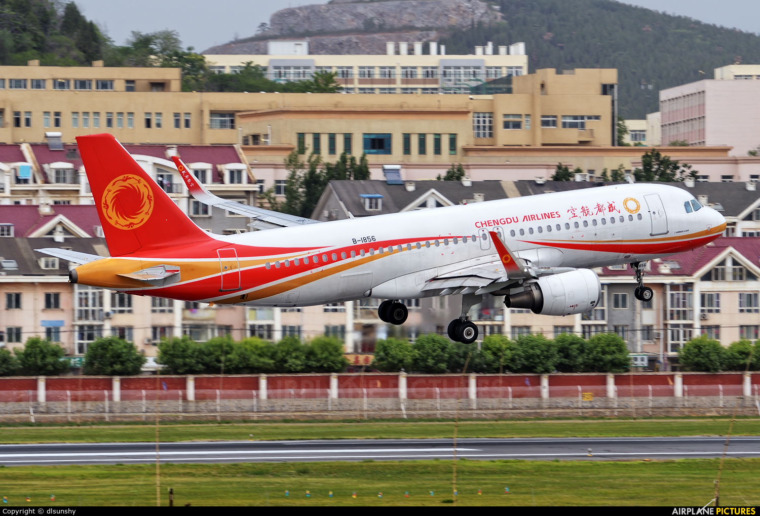 Chengdu Airlines B-1856 aircraft at Dalian Zhoushuizi Int'l