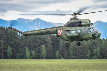 6946 - Poland - Army Mil Mi-2