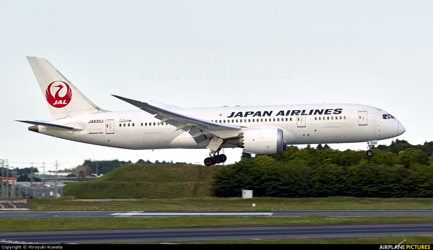 JAL - Japan Airlines JA830J aircraft at Tokyo - Narita Intl